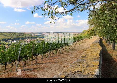 Freyburg, Deutschland. September 2018. Blick von einem Weinberg über die Winzerstadt Freyburg im Unstrut-Tal. Kredit: Stephan Schulz / dpa-Zentralbild / ZB / dpa / Alamy Live News Stockfoto