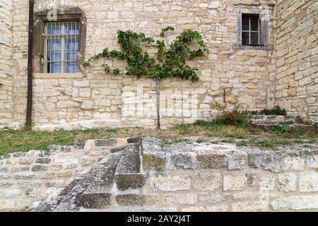 Freyburg, Deutschland. September 2018. Blick auf eine Rebe. Kredit: Stephan Schulz / dpa-Zentralbild / ZB / dpa / Alamy Live News Stockfoto