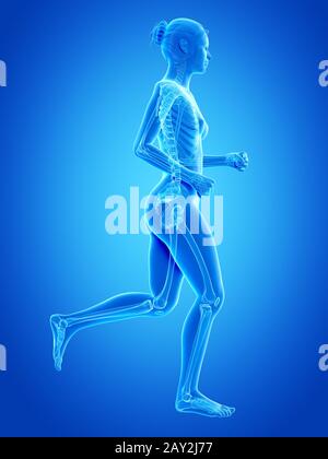 Medizinische 3D-Illustration - Joggingfrau - sichtbare Knochen Stockfoto