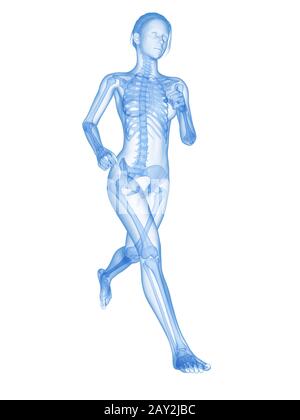 Medizinische 3D-Darstellung - weiblicher Jogger mit sichtbaren Knochen Stockfoto