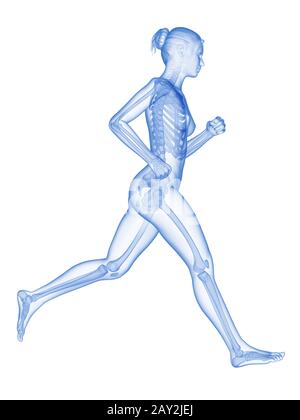 Medizinische 3D-Darstellung - weiblicher Jogger mit sichtbaren Knochen Stockfoto