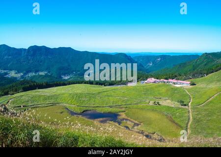 Ein grüner Hügel mit japanischem Pampas-Gras. Soni Highland, Nara, Japan Stockfoto