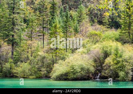 Farbenfroher Herbstwald und winziger Wasserfall Stockfoto