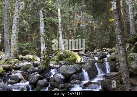 Wasserfall am Fluss Murudzhu im Kaukasusgebirge im Herbst Stockfoto