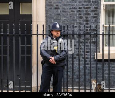 London, Großbritannien. Februar 2020. Ein Polizist und Larry The Downing Street Cat außerhalb der 10 Downing Street, London Credit: Ian Davidson/Alamy Live News Stockfoto