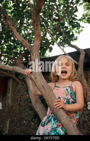 Mädchen auf Baum mit Blick auf die Kamera Stockfoto