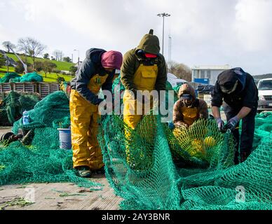 4 Fischer, die Netze in der halle der union bedrohten, beherbergen irland Stockfoto