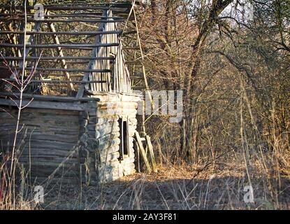Verlassenen und verfallenen Haus in einem verwilderten Wald Stockfoto