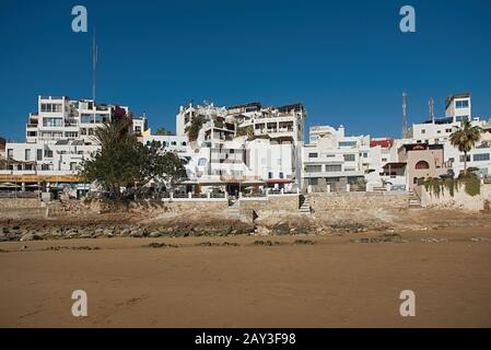 Dakhla, MAROKKO - 18. JANUAR 2020: Braune Möwe vor dem Ozean mit Häusern im Hintergrund Stockfoto