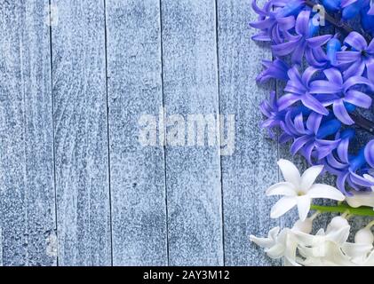 Blumen Stockfoto