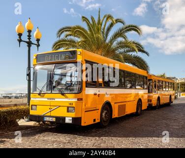 Busse in Funchal, Madeira. Stockfoto
