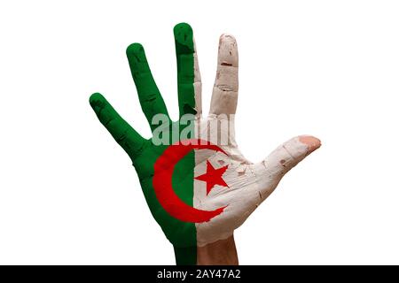 palmenfahne algerien Stockfoto