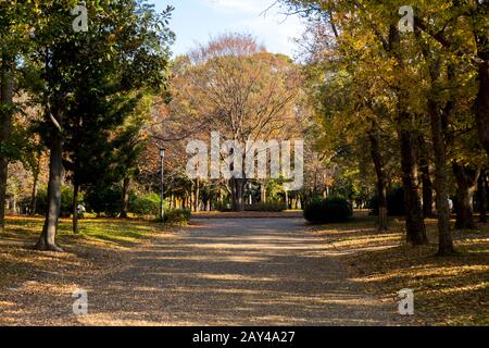 Herbst-Atrium mit Tancer Dancing Statue des Paares im Osaka Castle Park, Osaka, Japan, Long Shot, Eye Level View Stockfoto