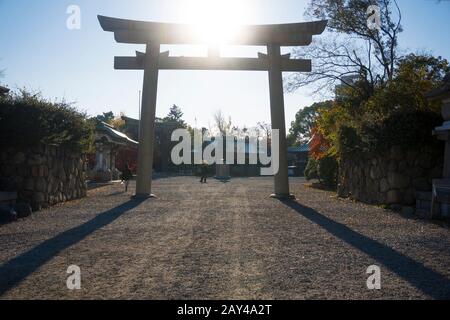 Helle Strahlen des Morgens erhellen den Hokoku-Schrein. Der Schrein im Osaka Castle Park wurde im Laufe der 1800-er Jahre erbaut, um Anführer Toyotomi Hideyoshi zu ehren Stockfoto