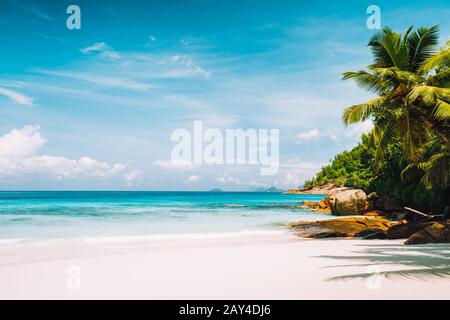 Tropischer, unberührter, ruhiger Strand mit pulverweißem Sand, kristallklarem Meerwasser und Palmen. Sommersaison Urlaub und Lifestyle-Konzept Stockfoto