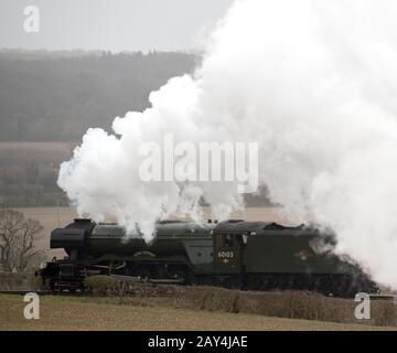 Der Flying Scotsman macht es auf dem Weg entlang der Watercress Line der Mid Hants Railway in der Nähe von Rotley in Hampshire, nachdem er der offiziellen Neueröffnung der Strecke geholfen hat. Stockfoto