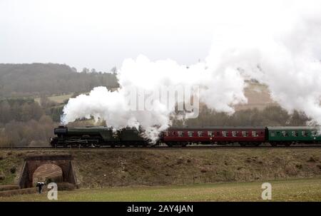 Der Flying Scotsman macht es auf dem Weg entlang der Watercress Line der Mid Hants Railway in der Nähe von Rotley in Hampshire, nachdem er der offiziellen Neueröffnung der Strecke geholfen hat. Stockfoto