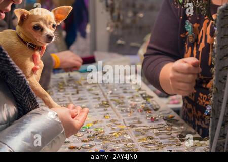 Frau mit einem kleinen Hund in den Armen an der Theke mit Schmuck Stockfoto