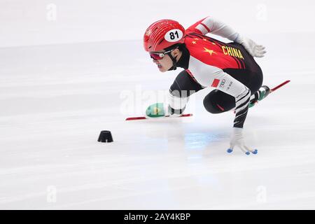 Dordrecht, Niederlande. Februar 2020. Li Wenlong aus China tritt bei den Vorläufen der Männer 1000 m (1) bei der ISU-WM 2019-2020-Kurzstrecke in Dordrecht, Niederlande, 14. Februar 2020 an. Kredit: Zheng Huansong/Xinhua/Alamy Live News Stockfoto