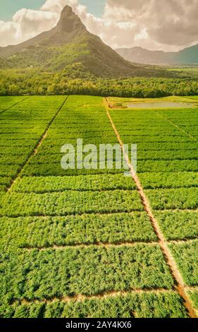 Die schöne Landschaft des Mount Rempart in Mauritius, Antenne Panoramablick. Stockfoto