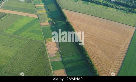 Waldstreifen und Grünfelder sind Luftbilder. Aerosol. Stockfoto