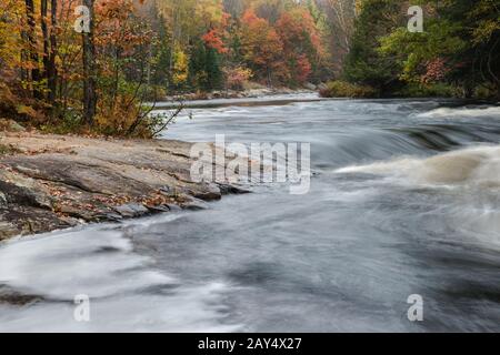 Kleine Stromschnellen und bunter Herbstwald am Fluss Oxtongue Stockfoto