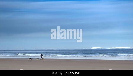 LOSSIEMOUTH MORAY FIRTH SCOTLAND EIN WINTER-WEST-STRAND UND EIN WALKER MIT DREI HUNDEN SCHNEE AUF DEN SUTHERLAND HILLS Stockfoto