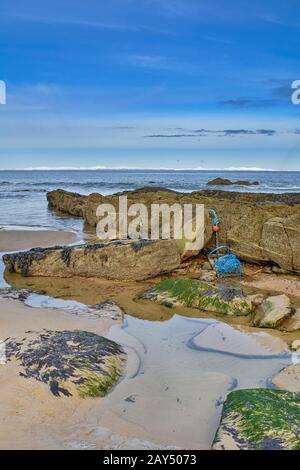 LOSSIEMOUTH MORAY FIRTH SCOTLAND EIN WINTER-WESTSTRAND UND HUMMERTOPF ODER CREEL AUF DEN FELSEN GESPÜLT Stockfoto