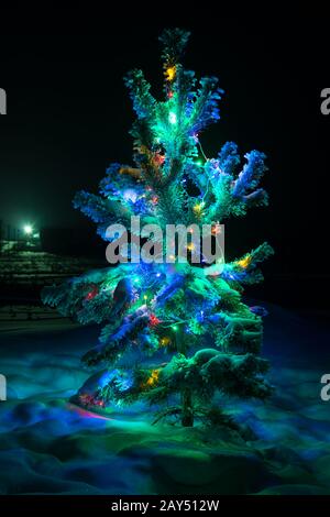 Strahlende Lichter eines natürlichen Weihnachtsbaums bedeckten Schnee. Stockfoto