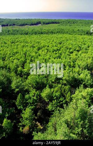 Panoramablick auf das bewaldete Naturschutzgebiet, das Meer und die Ostsee vom Leuchtturm Stilo bei der Stadt Leba, an der östlichen Küste Polens Stockfoto