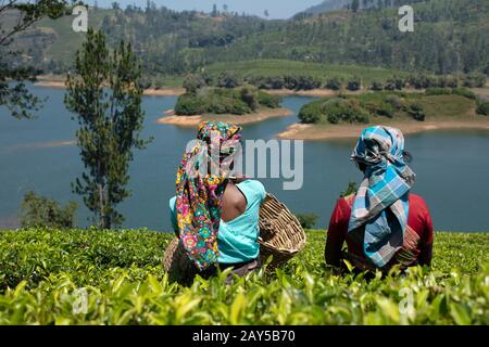 Zwei Teepucker-Damen, die während der Pause einen See anstarren. Stockfoto