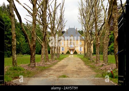 Ehemalige Burg im Wald mit einem Weg von Bäumen und eine große Liegewiese. Stockfoto