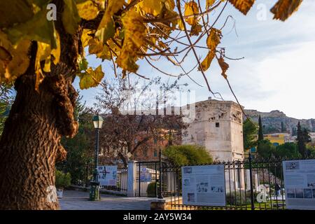 Athen, Griechenland - 25. Januar 2020: Turm der Wind-Götter in Roman Agora hinter einem Baum und Akropolis im Hintergrund Stockfoto