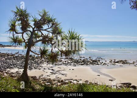 Blick auf den Baum, den menschenleeren Strand und das Meer in Noosa, Queensland, Australien an einem sonnigen Tag, an dem keine Menschen zu sehen sind Stockfoto