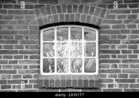 Gruß an das Korn aus dem Fenster in schwarz-weiß Stockfoto