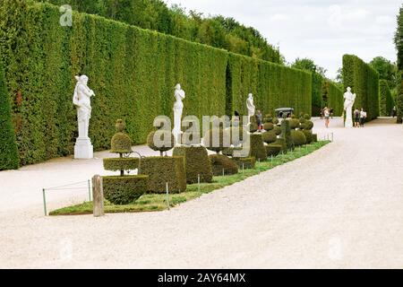 juli 2019, Frankreich, Versailles: Zierbäume verschiedener schöner Formen im Königlichen Garten von Versailles Stockfoto