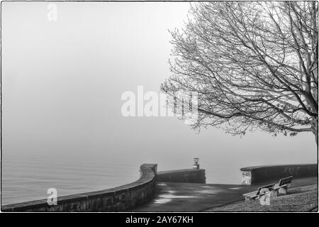 Schwarz-Weiß-Foto des bei Nebel verschwindenden Thunersees, zwei Bänke in der rechten unteren Ecke und ein Teil eines Baumes auf der rechten Seite. Stockfoto