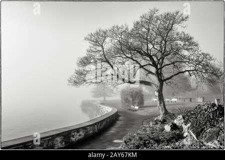 Schwarz-Weiß-Foto des Thunersee verschwindet im Nebel, mit Kai, Bäumen und Bänken Stockfoto