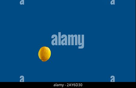 Gelbe Vollzitronenfarbe isoliert auf einem klassischen blauen Hintergrund, Nahaufnahme. Stockfoto