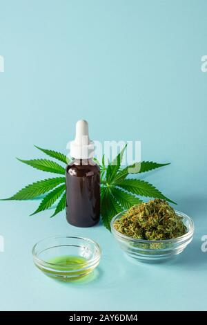 Glasflasche mit CBD- oder THC-Öl mit Hemp- oder Cannabis-Knospen, Öl- und Punktblättern auf Aqua-Blue-Hintergrund Stockfoto