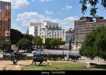 Die Cattle Drive Sculpture am Pioneer Plaza in Dallas, Texas Stockfoto