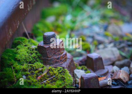 Nahaufnahme von rostigen Schwellenschrauben und Nuss im mit Moos bedeckten Bahnbett, Stockfoto