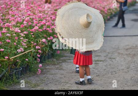 Ein kleines Kind trägt einen großen Sombrero in einem Blumengarten. Stockfoto