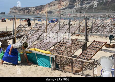 Trockenfisch am Strand im Fischerdorf Nazare in Portugal Stockfoto