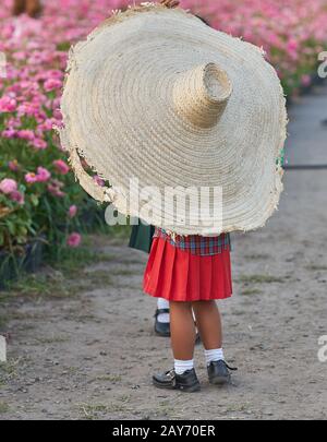 Kunstwanze, eine Wanze an einer schönen Blumenvase. Stockfoto