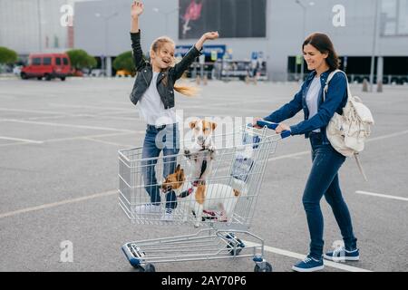 Froh junge Mutter, Tochter und ihre beiden Hunde im Einkaufswagen kehren vom Einkaufszentrum nach Hause zurück, machen am Wochenende einkaufen, genießen Freizeit, posieren zusammen o Stockfoto