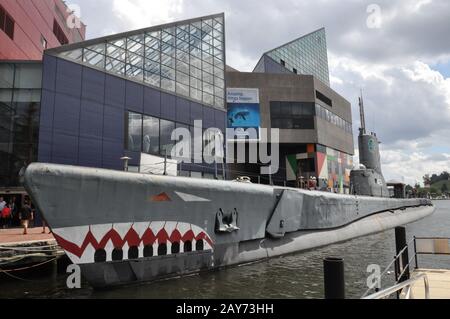 Das National Aquarium im Inner Harbor in Baltimore, Maryland Stockfoto