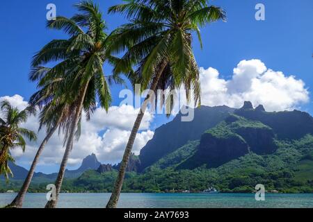 Cook's Bay und Lagune auf Moorea Island Stockfoto