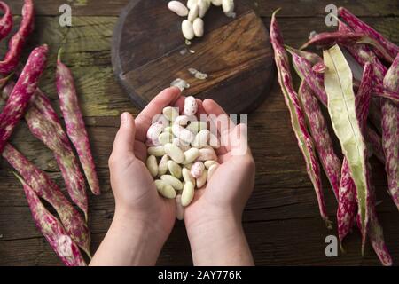 Die roten Bohnen mit Schale bemannen Stockfoto