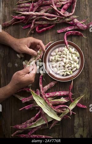 Die roten Bohnen mit Schale bemannen Stockfoto